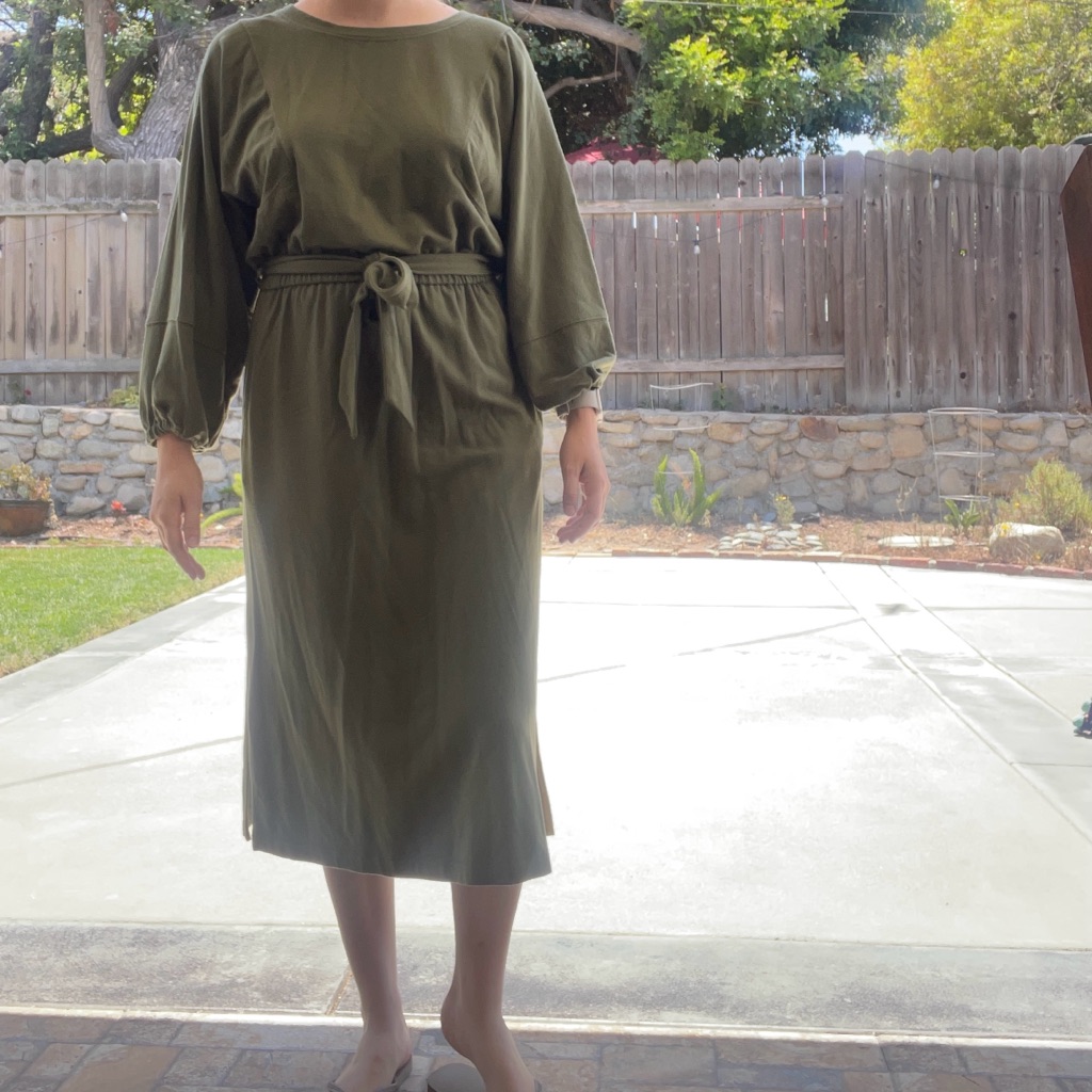 Anthropologie Green Sheath Dress With Tie Front And Bishop Sleeves